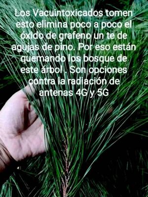 8aaafd26-812a-43be-bf90-41a187469468.jpg