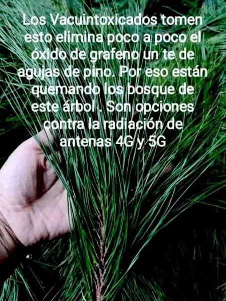 Archivo:8aaafd26-812a-43be-bf90-41a187469468.jpg